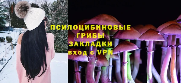 стаф Алексеевка