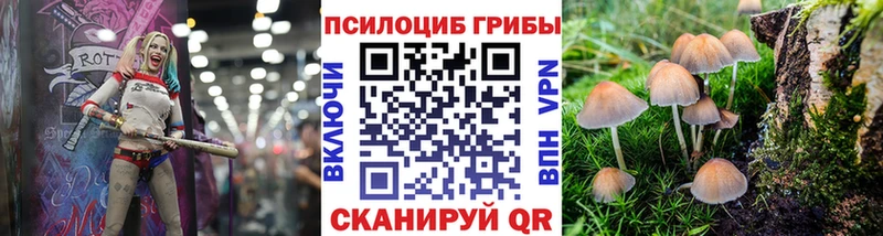 Галлюциногенные грибы мухоморы  купить наркотик  Константиновск 